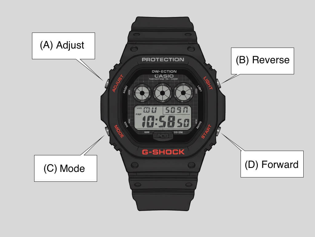 ���������� ����� dw