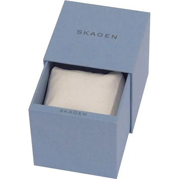 Комплект к "Skagen" SKW2693