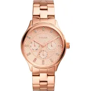 "Fossil" BQ1561