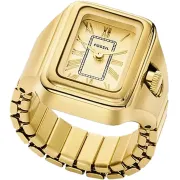 "Fossil" ES5343