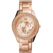 "Fossil" ES3590