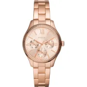 "Fossil" BQ3691