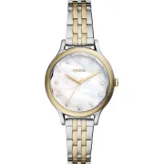 "Fossil" BQ3864