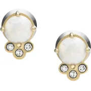 Серьги Fossil JF03876710