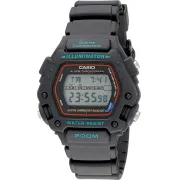 "Casio" DW-290-1V
