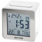 б. "Rhythm" LCT076NR03