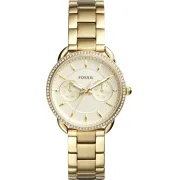 "Fossil" ES4263