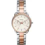 "Fossil" ES4396