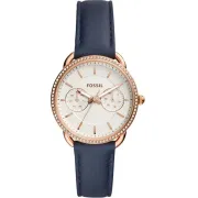 "Fossil" ES4394