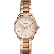 "Fossil" ES4264