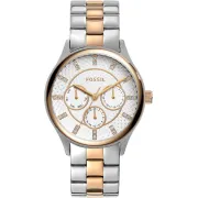 "Fossil" BQ1564