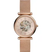 "Fossil" ME3175