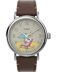 Timex TW2V61200