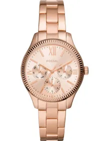 Fossil BQ3691
