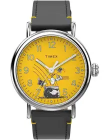 Timex TW2V60400
