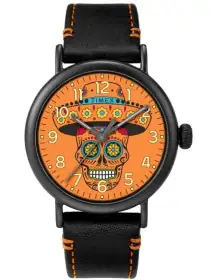 Timex TW2V67700