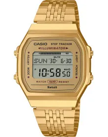 Casio ABL-100WEG-9A