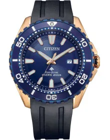 Citizen BN0196-01L