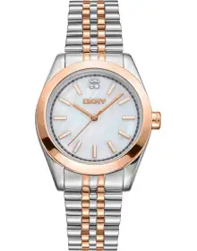 DKNY DK1L029M0095
