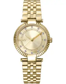 DKNY DK1L042M0055