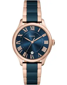 "Fossil" CE1134