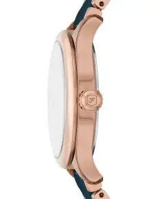 "Fossil" CE1134