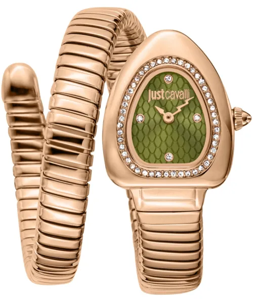 Часы Just Cavalli JC1L249M0045 #1