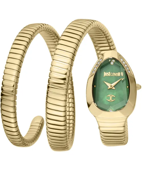 Часы Just Cavalli JC1L209M0045 #1