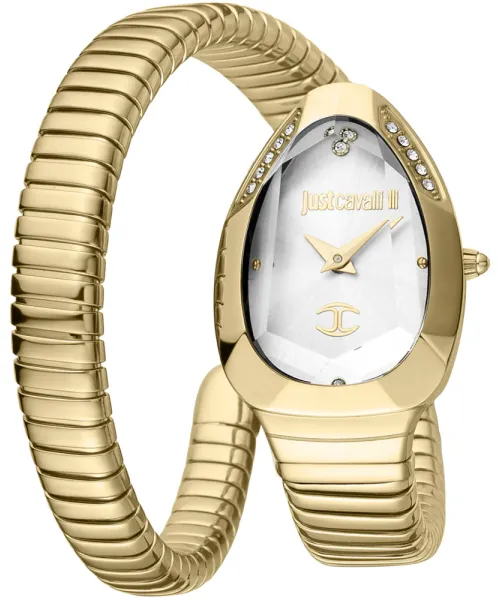 Часы Just Cavalli JC1L208M0035 #1