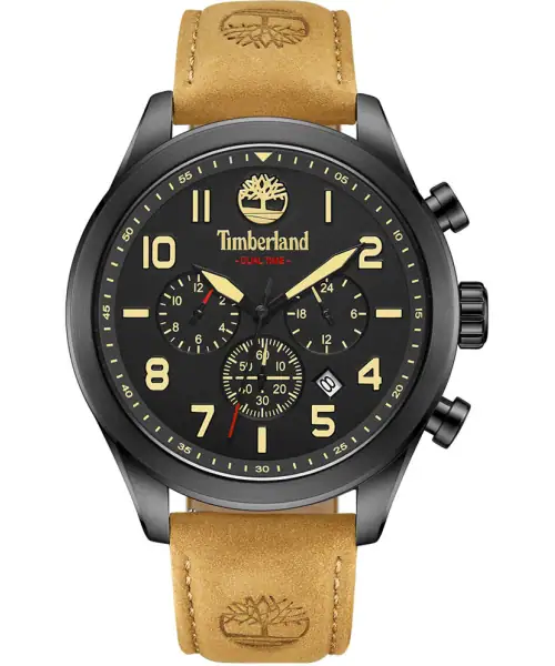 Часы Timberland TDWGF0009701 #1