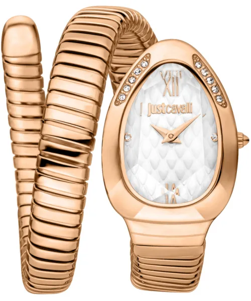 Часы Just Cavalli JC1L223M0045 #1