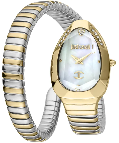 Часы Just Cavalli JC1L208M0065 #1