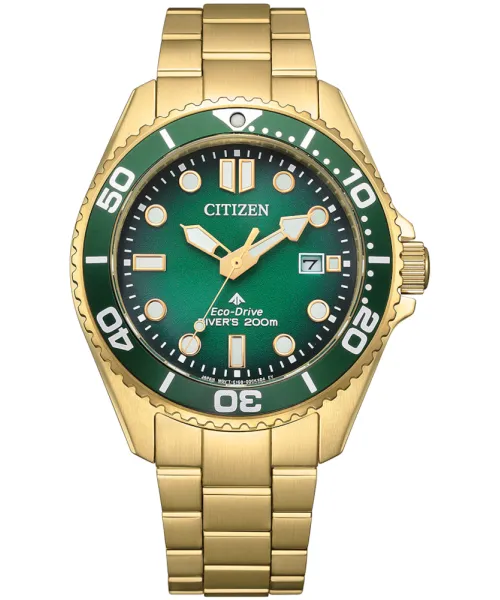 Часы Citizen BN0262-59W #1