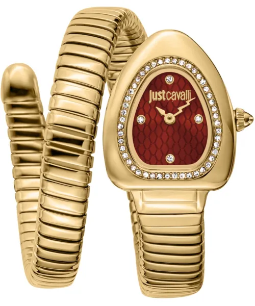Часы Just Cavalli JC1L249M0025 #1