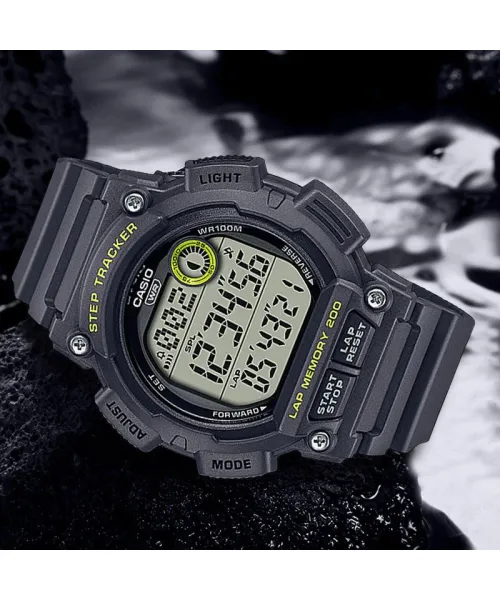 Часы Casio Collection WS-2100H-8A #2