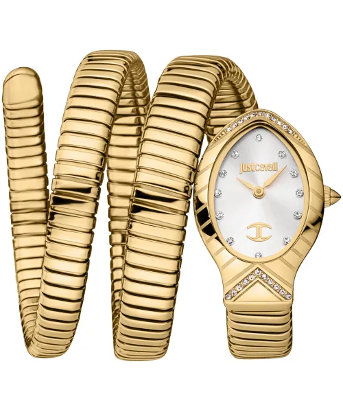 Часы Just Cavalli JC1L248M0025 #1