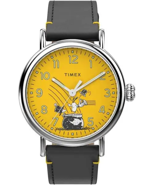 Часы Timex TW2V60400 #1