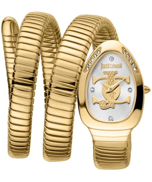 Часы Just Cavalli JC1L228M0035 #1