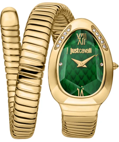 Часы Just Cavalli JC1L223M0035 #1