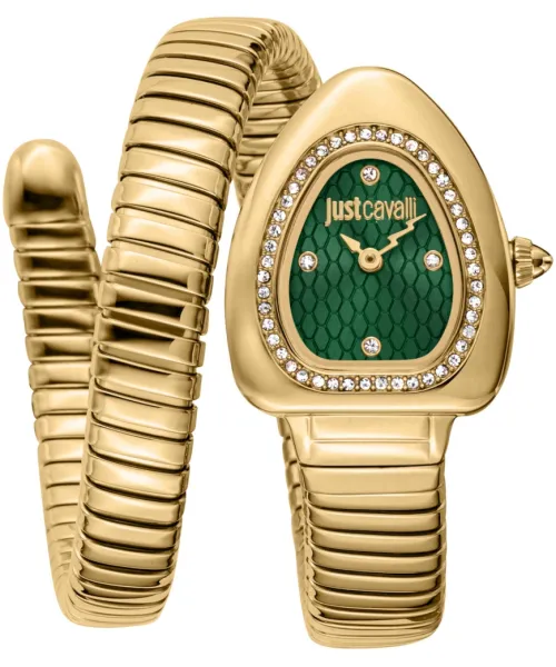 Часы Just Cavalli JC1L249M0035 #1