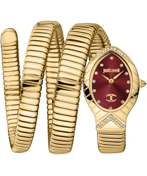Часы Just Cavalli JC1L248M0035 #1