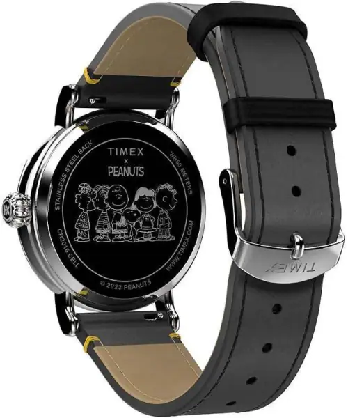 Часы Timex TW2V60400 #2