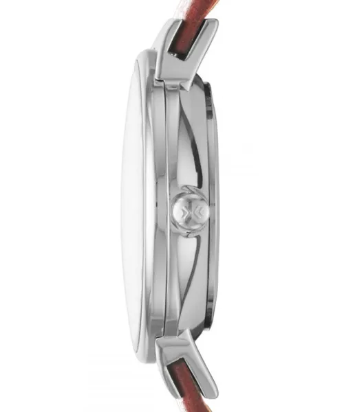 Часы Skagen SKW2192 #3
