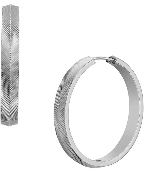 Серьги Fossil JF04668040 #1