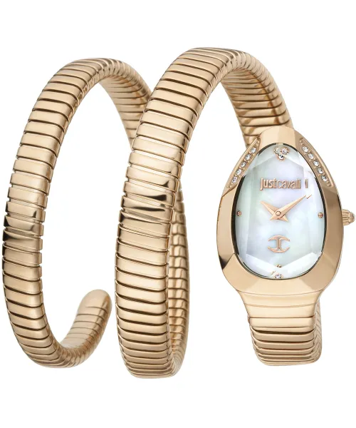 Часы Just Cavalli JC1L209M0055 #1