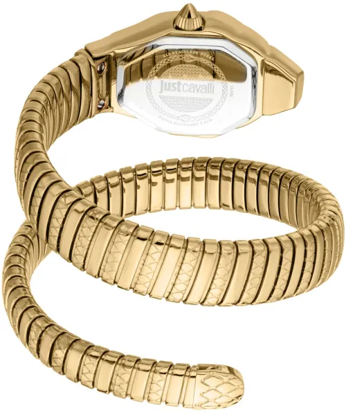 Часы Just Cavalli JC1L369M0035 #3