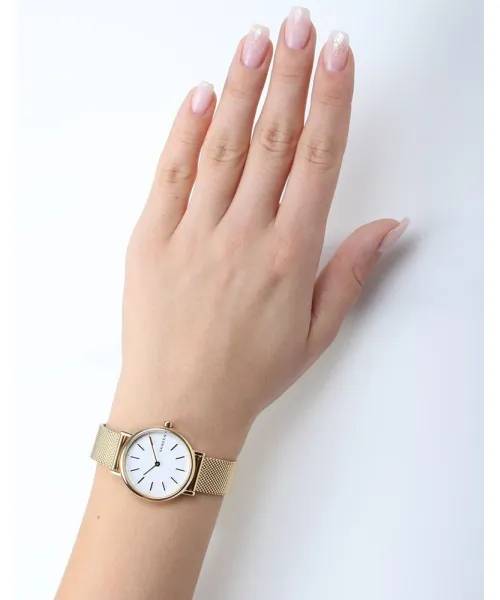 Часы Skagen SKW2693 #4