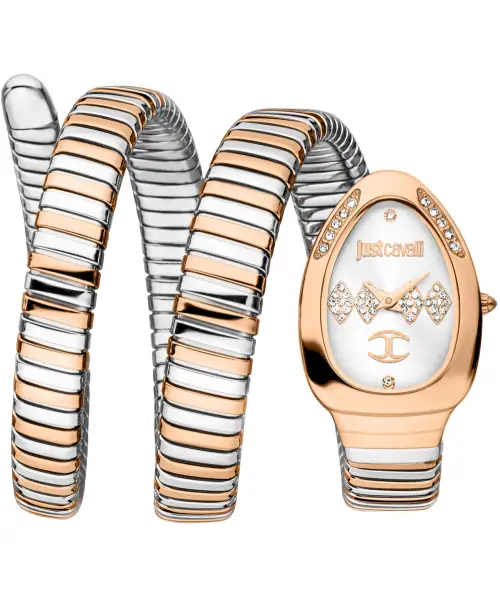Часы Just Cavalli JC1L230M0075 #1