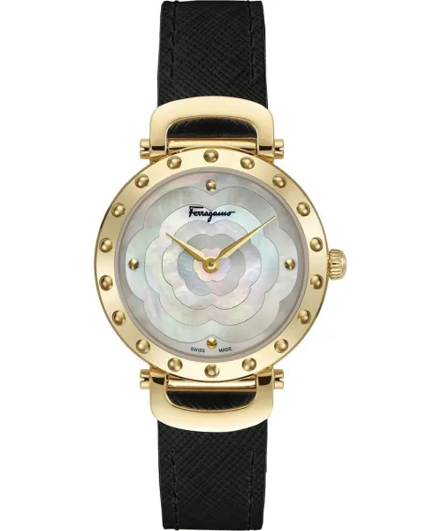 Часы Salvatore Ferragamo SFDM00218 #1