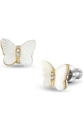 Fossil 
